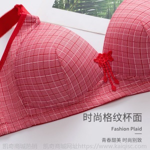 薄款无钢圈女士内衣妈妈聚拢调整型文胸大码舒适防下垂收副乳胸罩