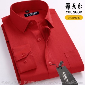 清仓正品雅戈尔长袖衬衫男士中年休闲职业正装免烫条纹纯色白衬衣