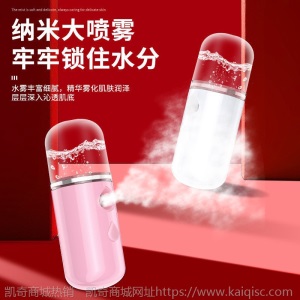 邦洋补水仪纳米喷雾仪脸部补水加湿喷器随身便携充电小型加湿神器
