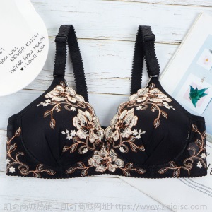 小胸聚拢文胸女士内衣女薄款无钢圈胸罩绣花收副乳调整透气美背