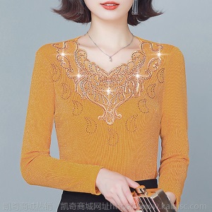 加绒/不加绒网纱V领打底衫女秋冬季新款加绒加厚保暖t恤蕾丝上衣
