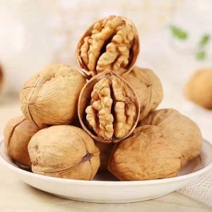 新年特价新疆薄皮核桃批发坚果纸皮大核桃5斤装原味核桃送夹子50g