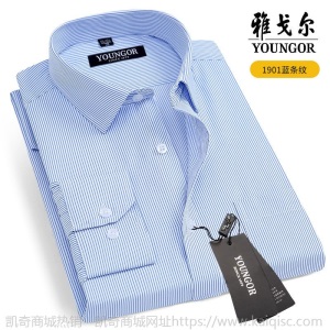 清仓正品雅戈尔长袖衬衫男士中年休闲职业正装免烫条纹纯色白衬衣