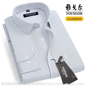 清仓正品雅戈尔长袖衬衫男士中年休闲职业正装免烫条纹纯色白衬衣