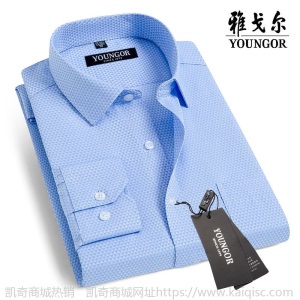 清仓正品雅戈尔长袖衬衫男士中年休闲职业正装免烫条纹纯色白衬衣