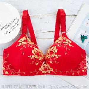 小胸聚拢文胸女士内衣女薄款无钢圈胸罩绣花收副乳调整透气美背