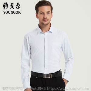 清仓正品雅戈尔长袖衬衫男士中年休闲职业正装免烫条纹纯色白衬衣