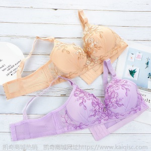 小胸聚拢文胸女士内衣女薄款无钢圈胸罩绣花收副乳调整透气美背