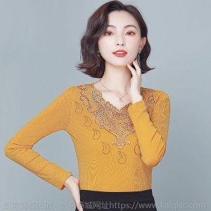 加绒/不加绒网纱V领打底衫女秋冬季新款加绒加厚保暖t恤蕾丝上衣