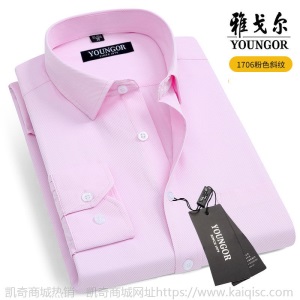 清仓正品雅戈尔长袖衬衫男士中年休闲职业正装免烫条纹纯色白衬衣