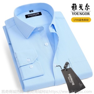 清仓正品雅戈尔长袖衬衫男士中年休闲职业正装免烫条纹纯色白衬衣