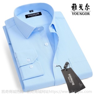 清仓正品雅戈尔长袖衬衫男士中年休闲职业正装免烫条纹纯色白衬衣