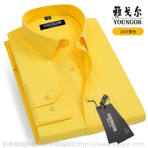 清仓正品雅戈尔长袖衬衫男士中年休闲职业正装免烫条纹纯色白衬衣