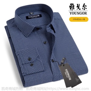 清仓正品雅戈尔长袖衬衫男士中年休闲职业正装免烫条纹纯色白衬衣