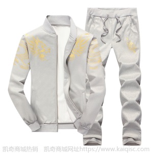 2019新款休闲运动套装男士外套潮流帅气立领衣服男春秋卫衣两件套
