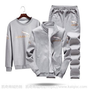 运动套装男秋季长袖休闲套装捷豹新款运动服套装男士春秋款三件套