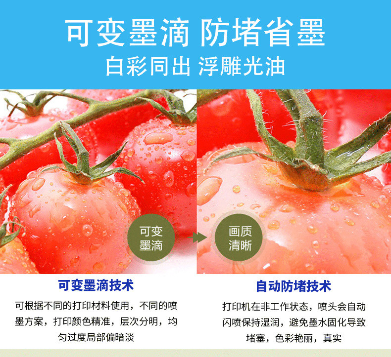 爱普生3360详情---_08.png