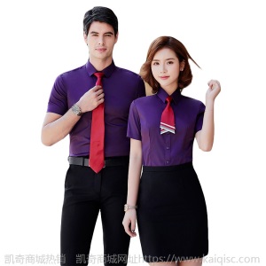 商务正装气质职业上班衬衣修身平纹夏装工作服男女同款短袖衬衫
