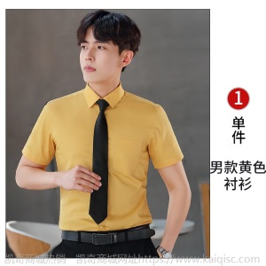 短袖衬衫女银行酒店前台职业工作服销售工装男女同款衬衣面试正装