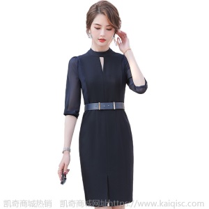 夏季职业连衣裙女时尚气质女神范ol轻熟风工作服收腰显瘦工装裙子