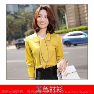 白色雪纺领带衬衫女春秋长袖2020新款设计感小众洋气飘带秋款衬衣