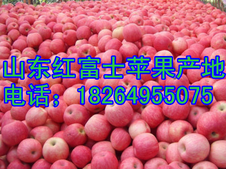 19-12-35-86-1_副本