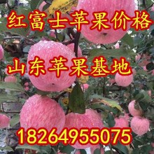 7571093019_493800482_220x220_副