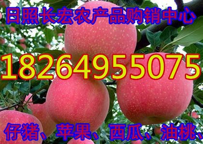 8u=2305028356,1390176835&f