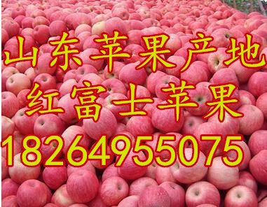 u=1449545030,2198178220&fm