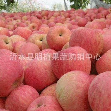 山东日照临沂苹果批发价格烟台苹果价格陕西苹果价格