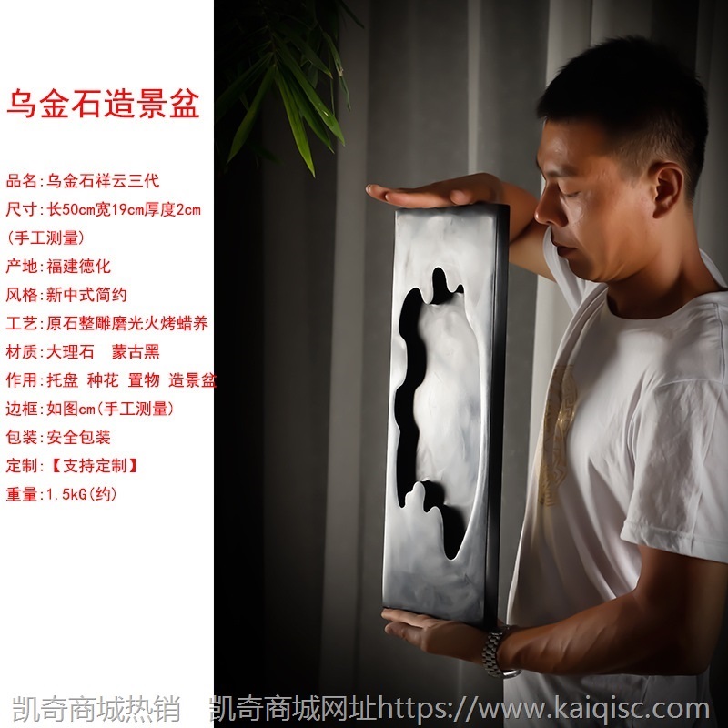 异形中式简约盆景家用办公桌面乌金石禅意摆件微景观菖蒲茶桌盆栽