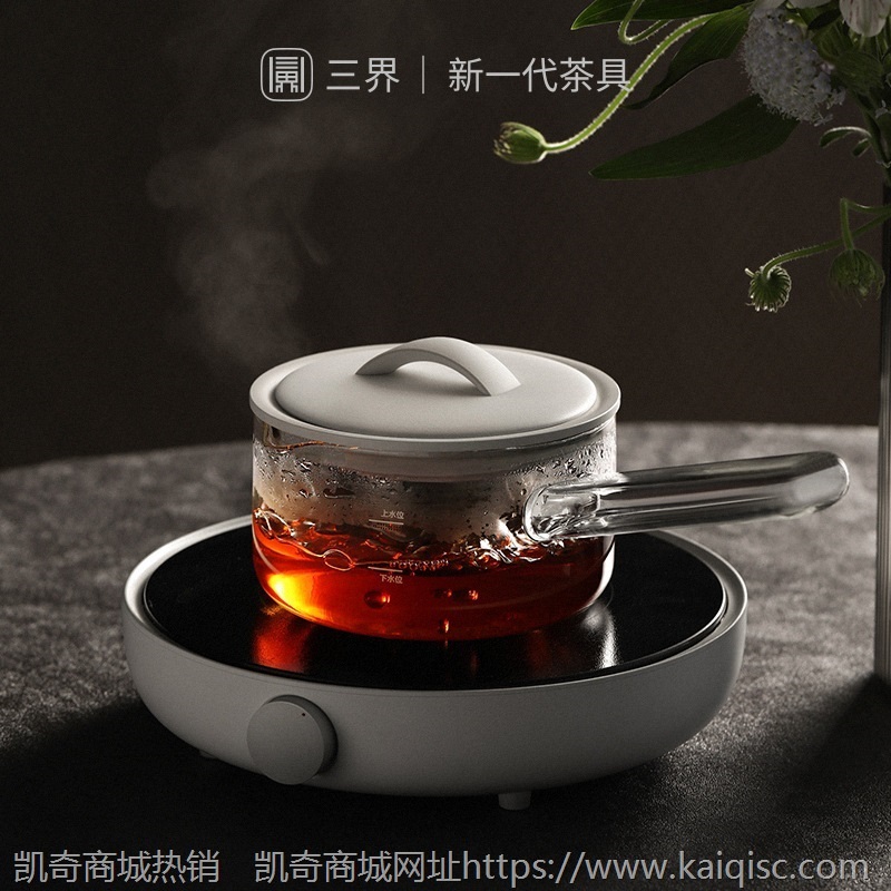 三界S6黑金电陶炉家用迷你煮茶器小型泡茶炉黑茶普洱花茶煮茶炉