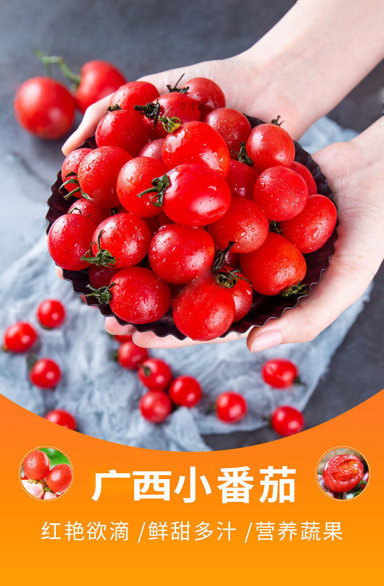 7ea80a56-742a-47cc-8676-9a13ae2256e7.jpe