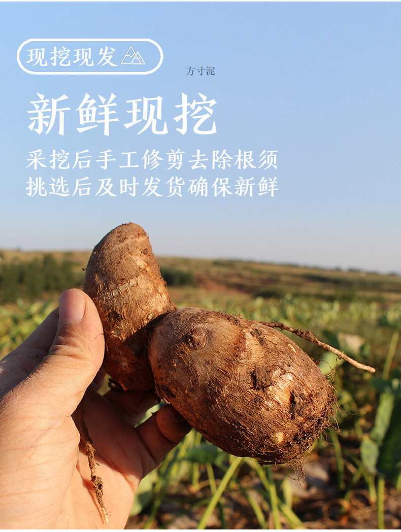 42e1b3fe-eb48-47d4-9982-3f8babfd5cc6.jpg?x-oss-process=image/format,png