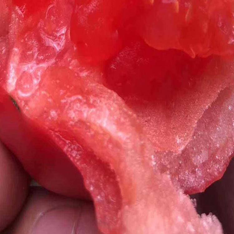 西红柿1