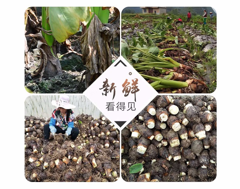 详情 (9).jpg