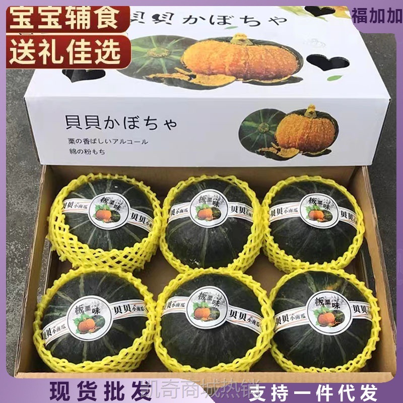 山东贝贝南瓜正宗板栗味粉糯婴儿宝宝辅食小南瓜新鲜中秋节送老人