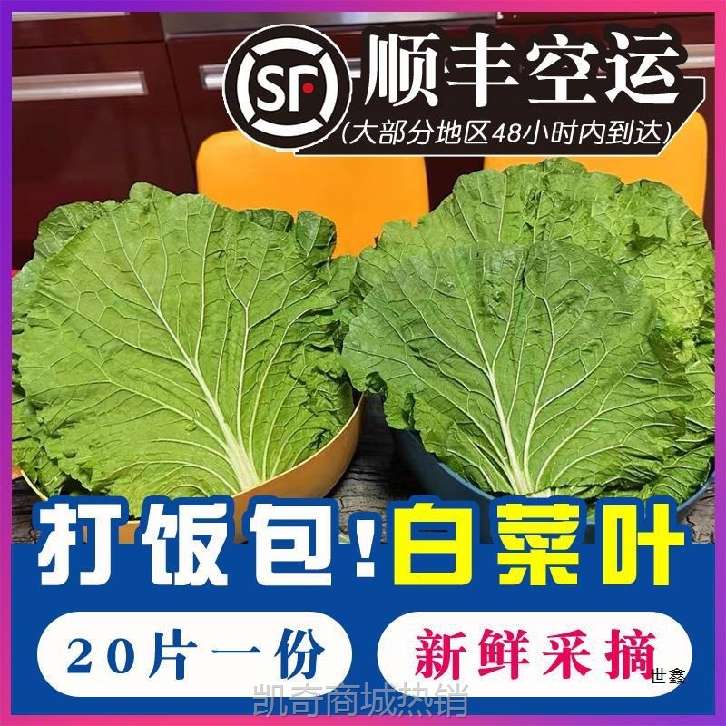 东北新鲜大白菜叶子打饭包白菜叶即食蘸酱包饭菜叶臭菜小葱辣妹子