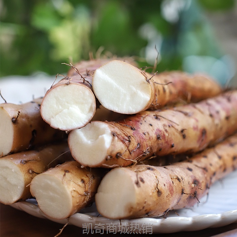 【顺丰德邦】河南温县垆土地铁棍山药淮山药当季新鲜山药4.5斤装