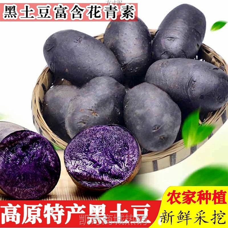 青海特产新鲜黑土豆黑金刚紫色大马铃薯乌洋芋小土豆富含花青素厂