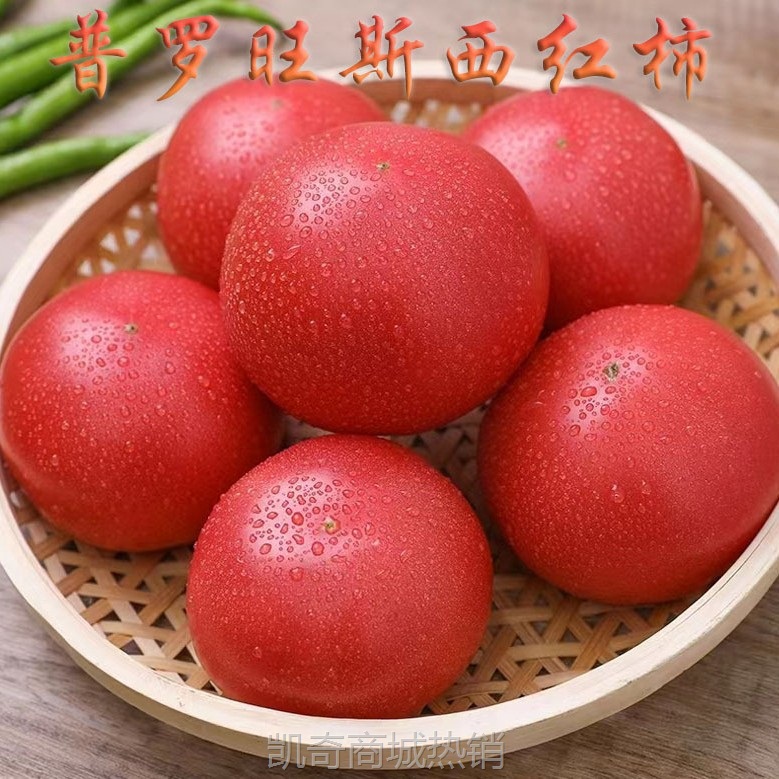 陕西普罗旺斯西红柿现摘新鲜水果蔬菜沙瓤番茄洋柿子整箱一件代发