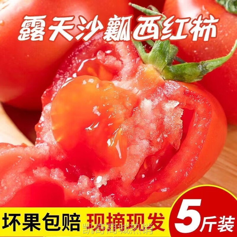 自然熟普罗旺斯西红柿5斤新鲜生吃水果露天沙瓤大番茄3全批发
