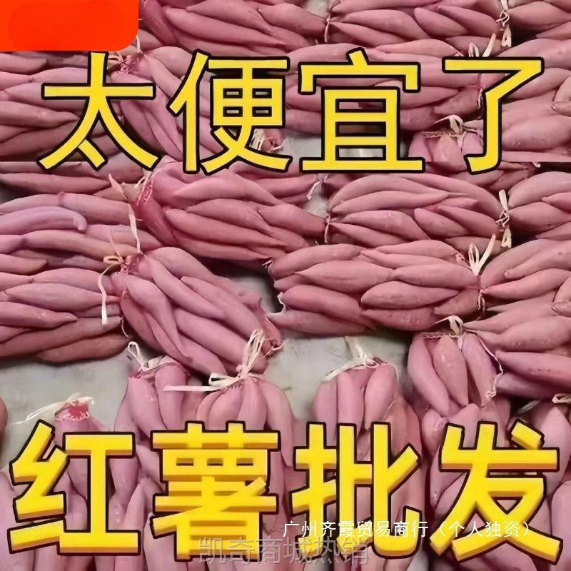 河南新鲜蜜薯糖心红薯9-10斤番薯农家沙地烤地瓜山芋流油黄心软糯