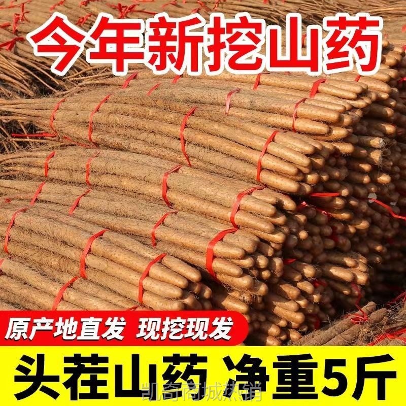 山药新鲜直达麻山药焦作淮山药新鲜小白嘴粉糯面甜现挖卖送礼