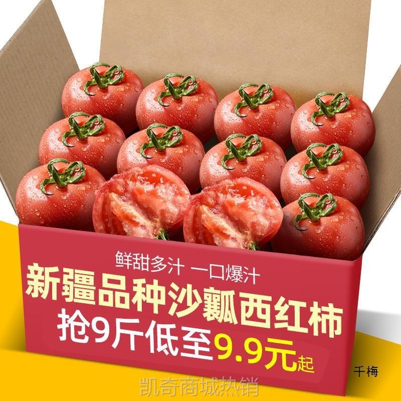 新疆品种自然熟沙瓤西红柿10斤普罗旺斯现摘新鲜水果蔬菜番茄1