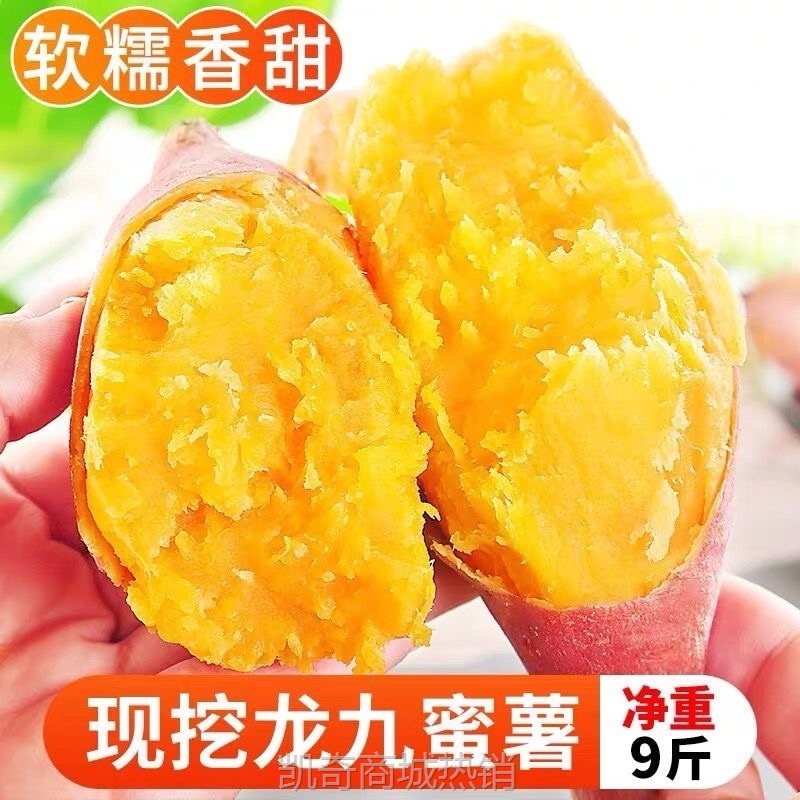 新鲜龙九蜜薯9斤板栗红薯农家自种非西瓜红糖心沙地番薯地瓜黄心