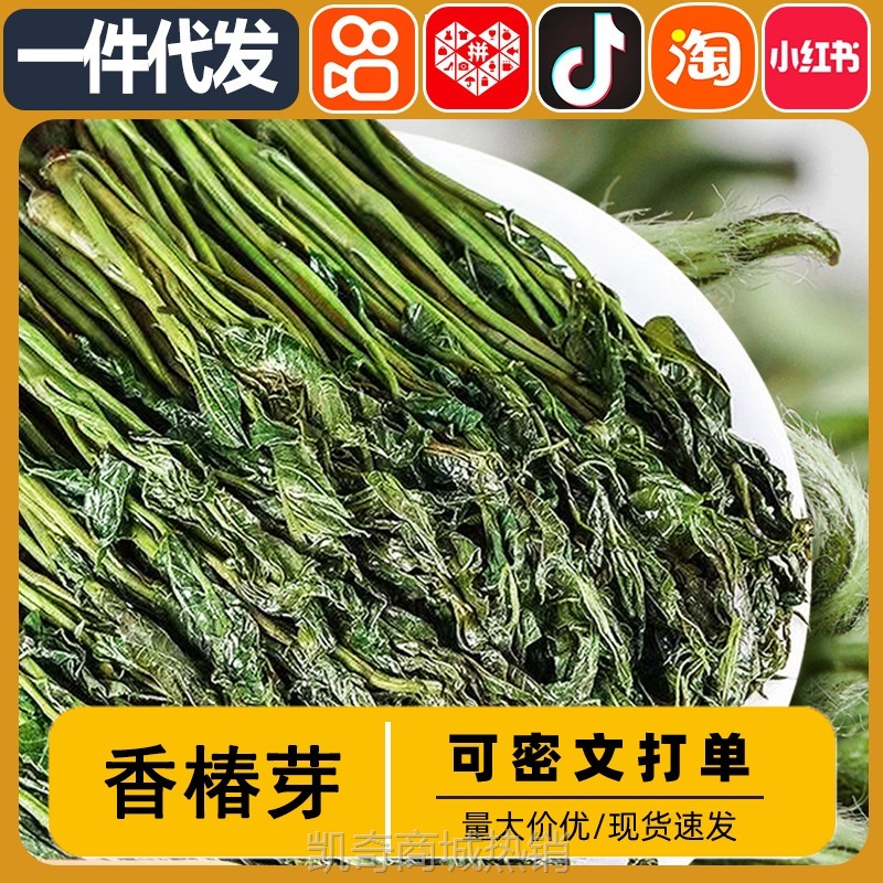 当季新货香椿嫩芽 鲜嫩爽口新鲜盐渍保鲜香椿芽 农产品1斤装代发