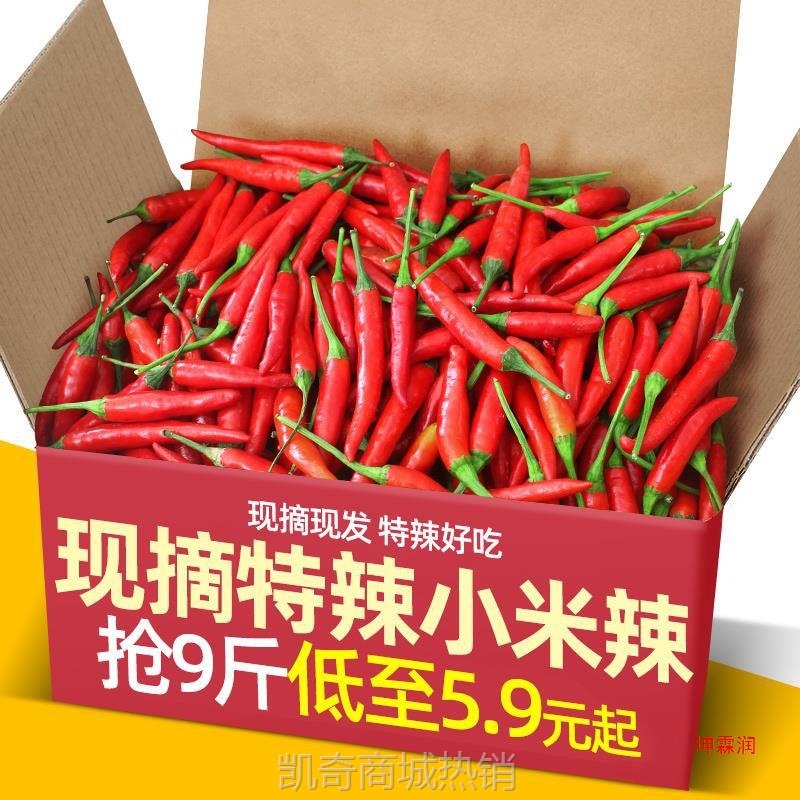 小米椒5斤红辣椒新鲜现摘辣小米辣椒朝天椒农家土蔬菜鲜叶菜类