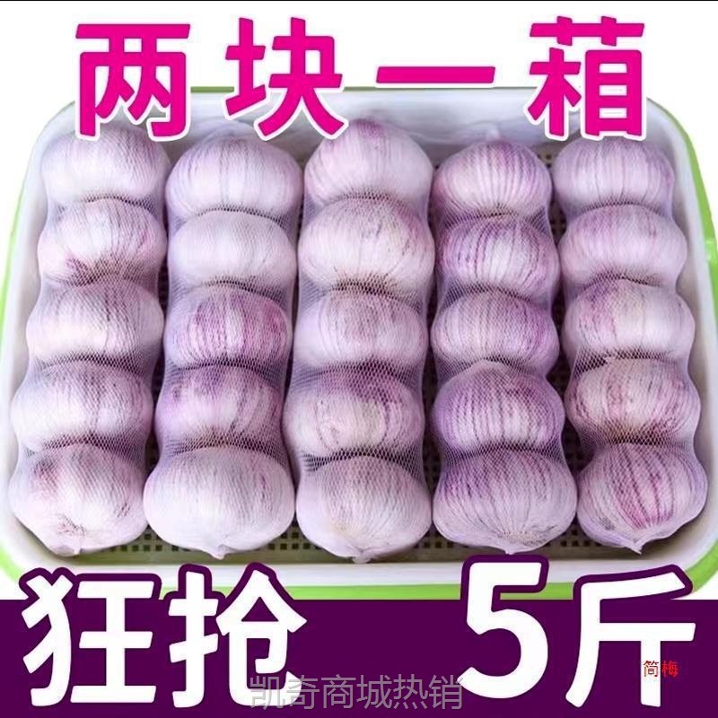 山东十足红皮大蒜农家自种头干包邮新鲜干批发蒜紫皮大蒜