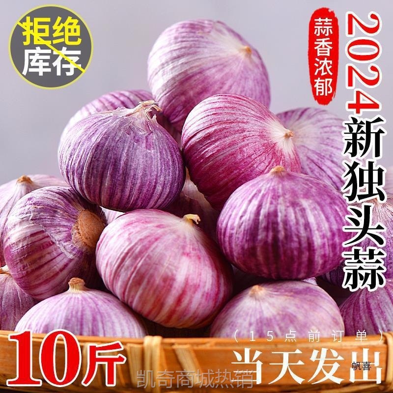 新鲜云南大蒜头干蒜5斤农家新蒜蔬菜蒜头当季2024独头蒜批发紫皮